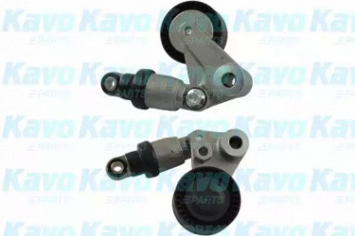KAVO PARTS dtd3008 -  Успокоитель, зубчатый ремень